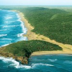 Elephant Coast