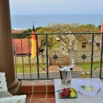 VINEYARD ON BALLITO MAY 2015 PKP (9)